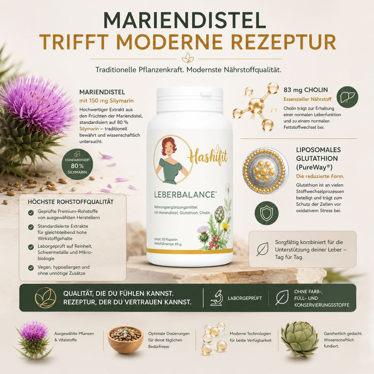 Hashifit Leberbalance mit Mariendistel, standardisiertem Silymarin, Cholin und liposomalem Glutathathion. Premium Rohstoffe, vegane Rezeptur und hypoallergene Herstellung.