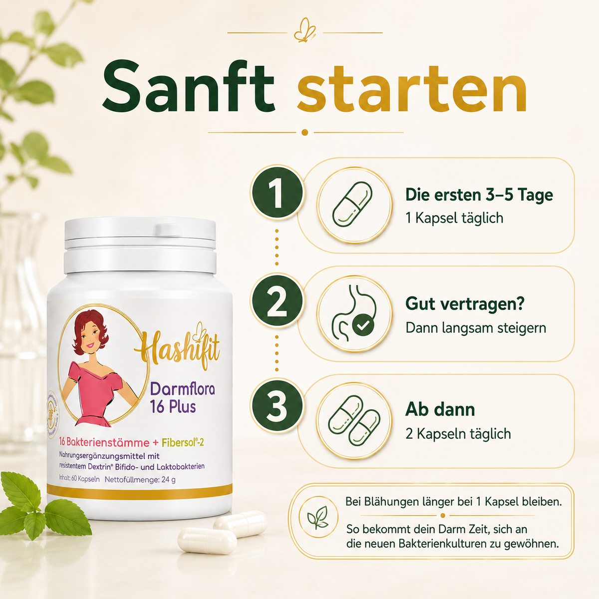 Hashifit Darmflora 16 Plus Einnahmeplan: drei bis fünf Tage eine Kapsel täglich, bei guter Verträglichkeit langsam auf zwei Kapseln steigern.