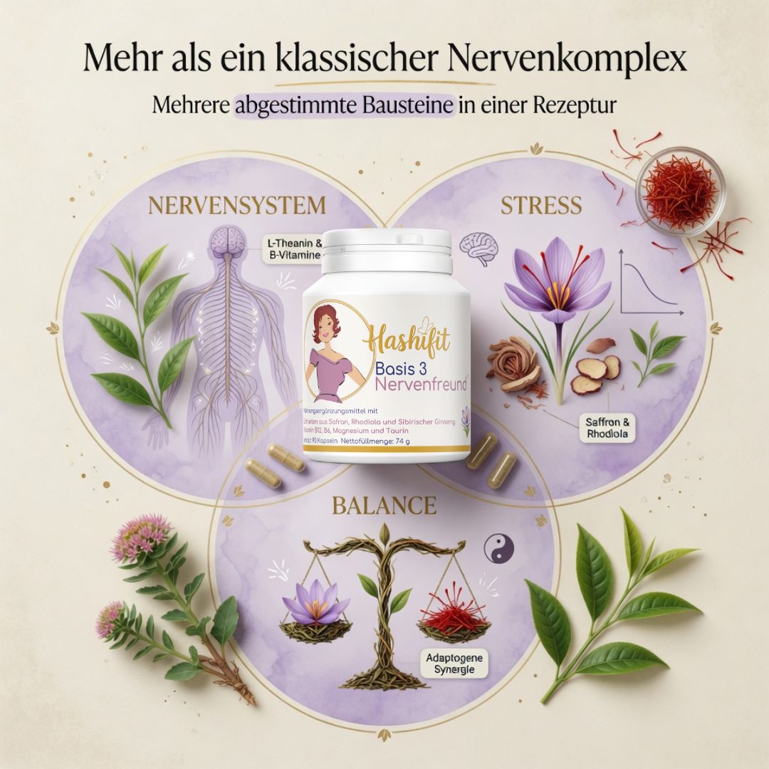 mehr als ein klassischer nervenkomplex hashifit nervenfreund basis 3 und 3 kreise die nervensystem stress balance zeigen