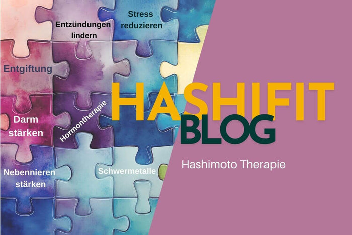 puzzelteile in bunt  hashifit blogbanner Hashimoto Therapie ganzheitlich  behandeln
