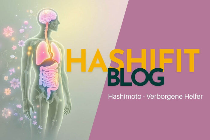 Ganzheitliche Hashimoto Organe Leber Nieren Darm Gehirn Muskeln Illustration in natürlichen Farben