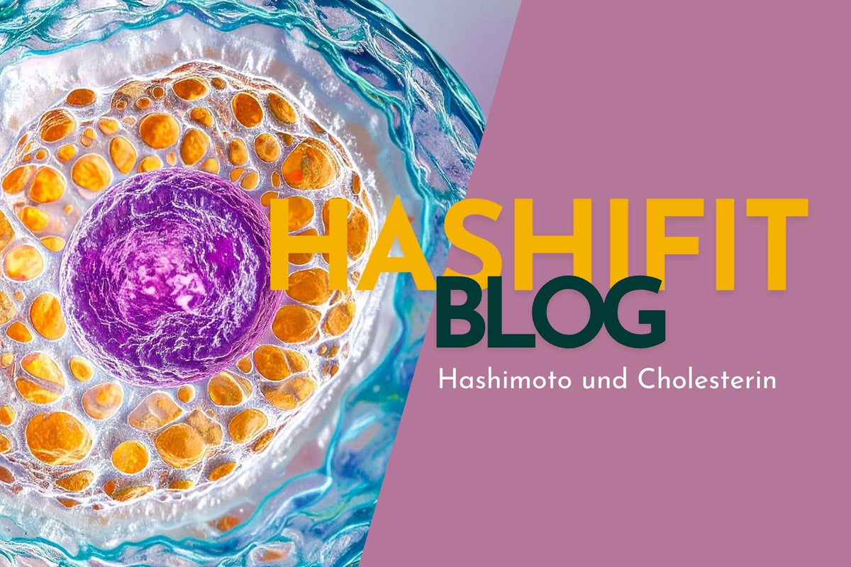 Cholesterin bei Hashimoto – was erhöhte Werte wirklich bedeuten