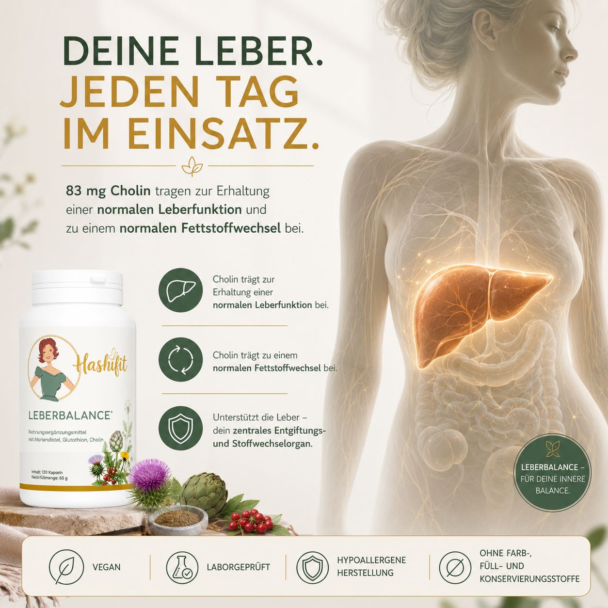 Hashifit Leberbalance mit Cholin zur Unterstützung der normalen Leberfunktion und des normalen Fettstoffwechsels. Illustration der Leber kombiniert mit dem Produkt.