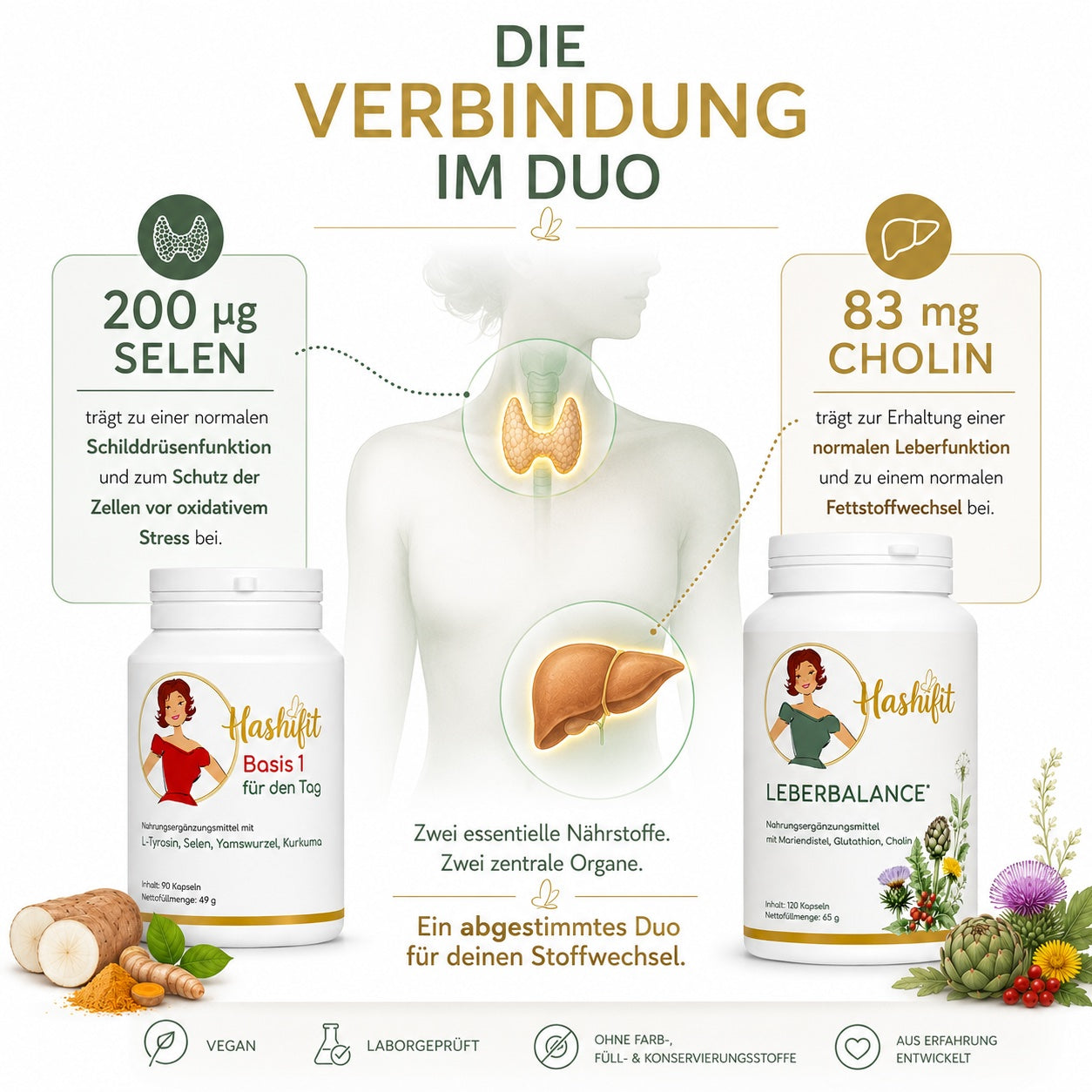 Hashifit Basis 1 und Leberbalance als ergänzendes Duo für Schilddrüse und Leber. Darstellung von Selen für die normale Schilddrüsenfunktion sowie Cholin für die normale Leberfunktion und den normalen Fettstoffwechsel.