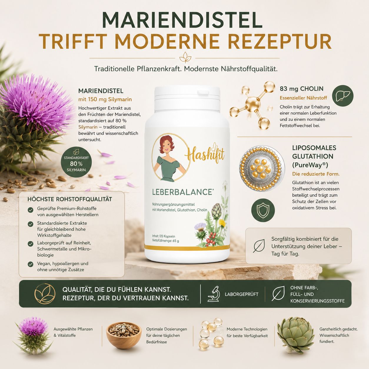 Hashifit Leberbalance mit Mariendistel, standardisiertem Silymarin, Cholin und liposomalem Glutathathion. Premium Rohstoffe, vegane Rezeptur und hypoallergene Herstellung.