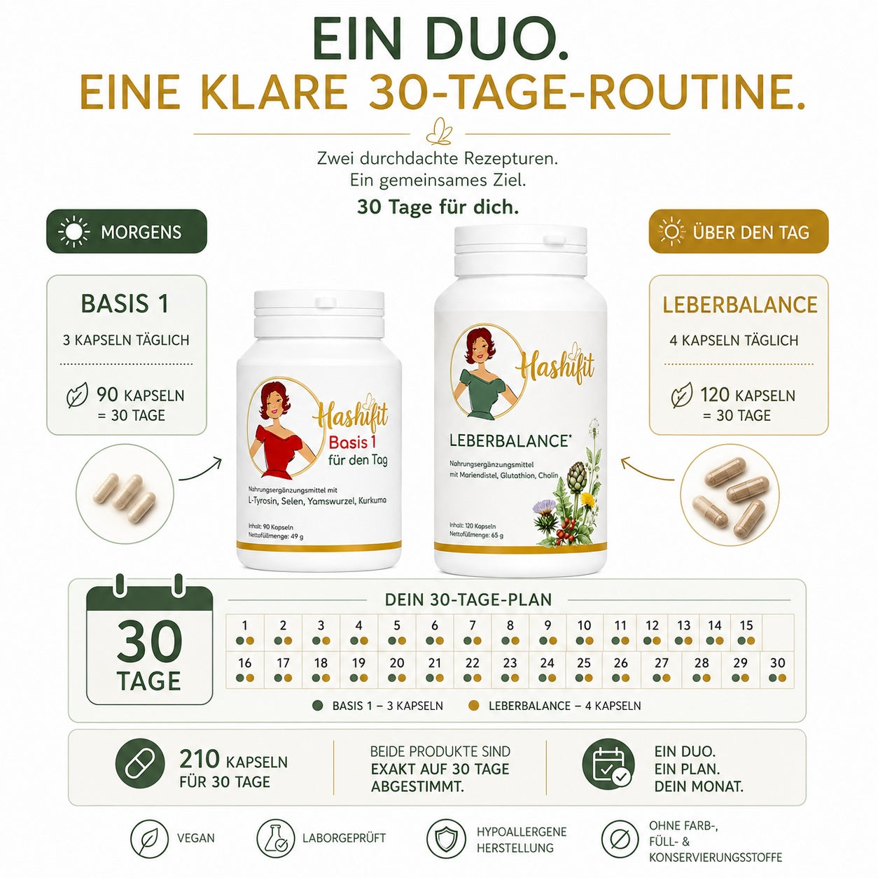 Hashifit Basis 1 und Leberbalance als aufeinander abgestimmte 30 Tage Routine. Übersicht zur täglichen Einnahme mit drei Kapseln Basis 1 am Morgen und vier Kapseln Leberbalance über den Tag.