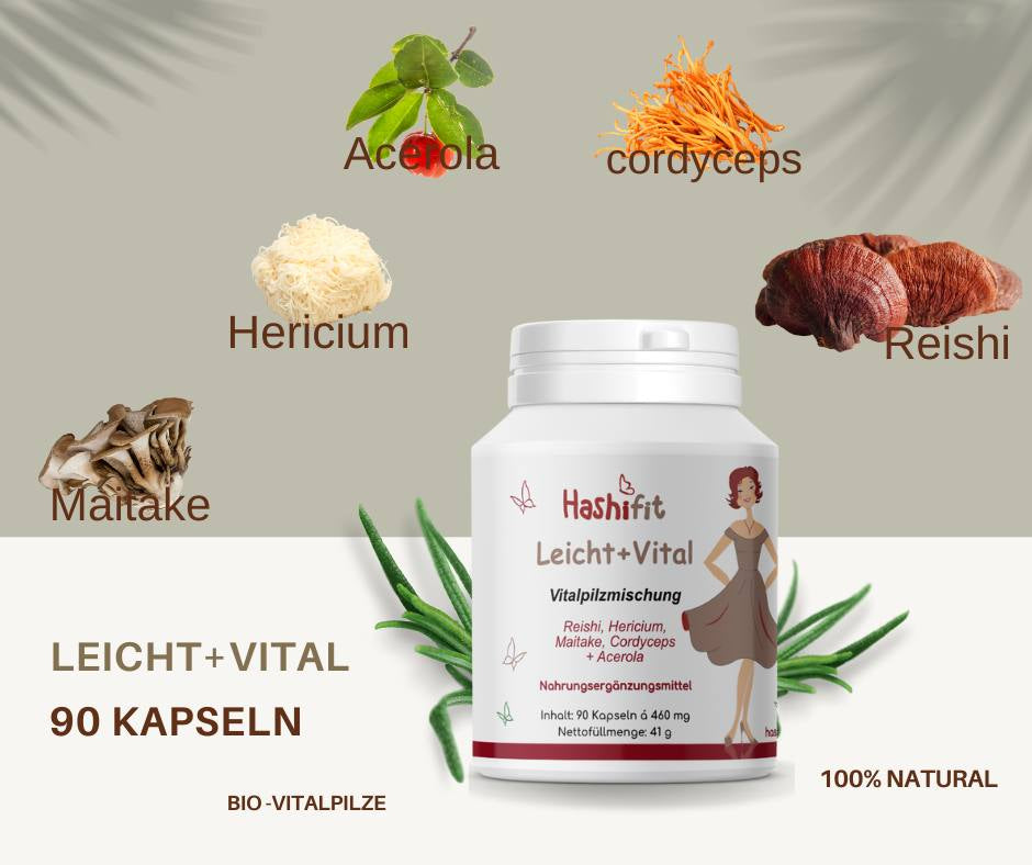 Leicht+Vital Vitalpilzmischung image 1