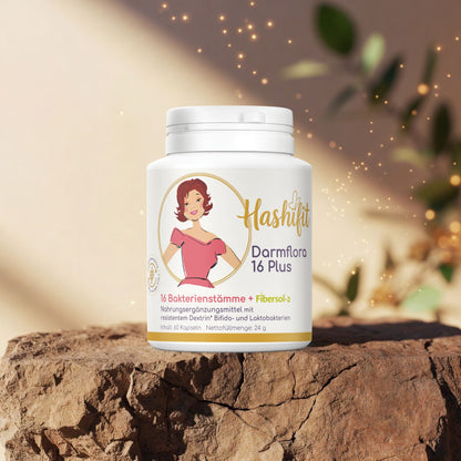Hashifit Darmflora 16 Plus Probiotika für Darmflora Balance