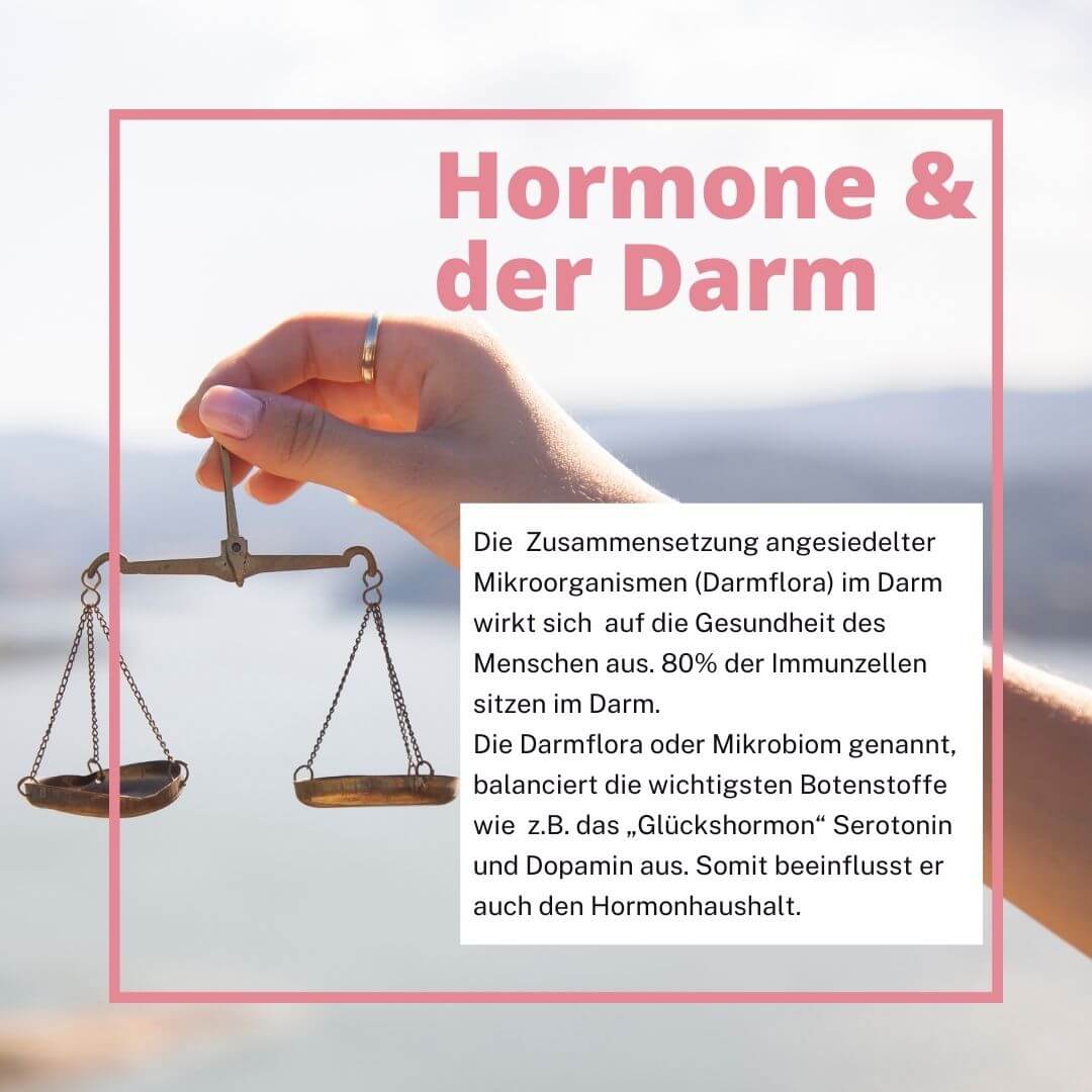 Darmflora 16 Plus bei Hashimoto – erklärt hormonelle Verbindung zwischen Darm und Schilddrüse