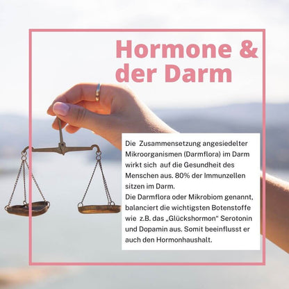 Darmflora 16 Plus bei Hashimoto – erklärt hormonelle Verbindung zwischen Darm und Schilddrüse