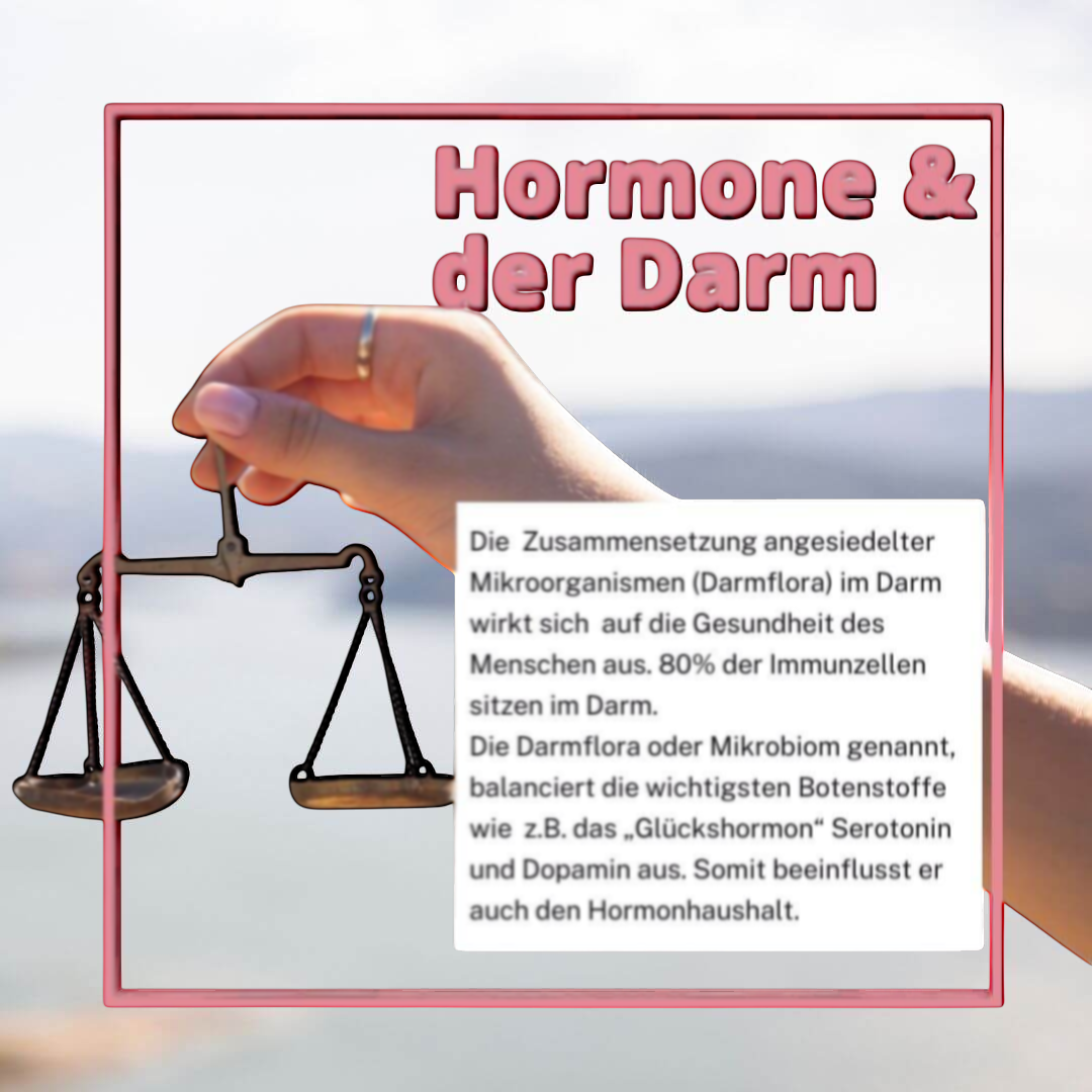 Darmflora 16 Plus bei Hashimoto – erklärt hormonelle Verbindung zwischen Darm und Schilddrüse