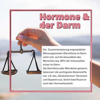 Darmflora 16 Plus bei Hashimoto – erklärt hormonelle Verbindung zwischen Darm und Schilddrüse