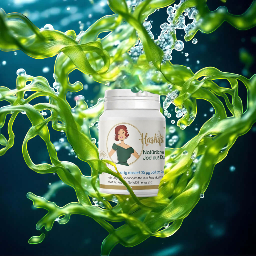Hashifit Natürliches Jod aus Kelp – Produktdose im Meeresalgen-Hintergrund mit natürlichem Kelp als Jodquelle