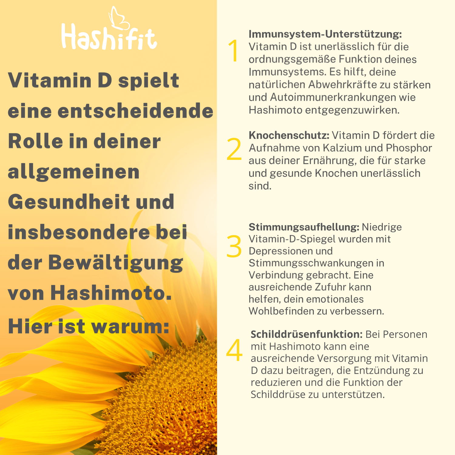 Informationstext zu Hashifit Vitamin D3 – Bedeutung von Sonnenvitamin und Mikronährstoffen bei Schilddrüsenunterfunktion