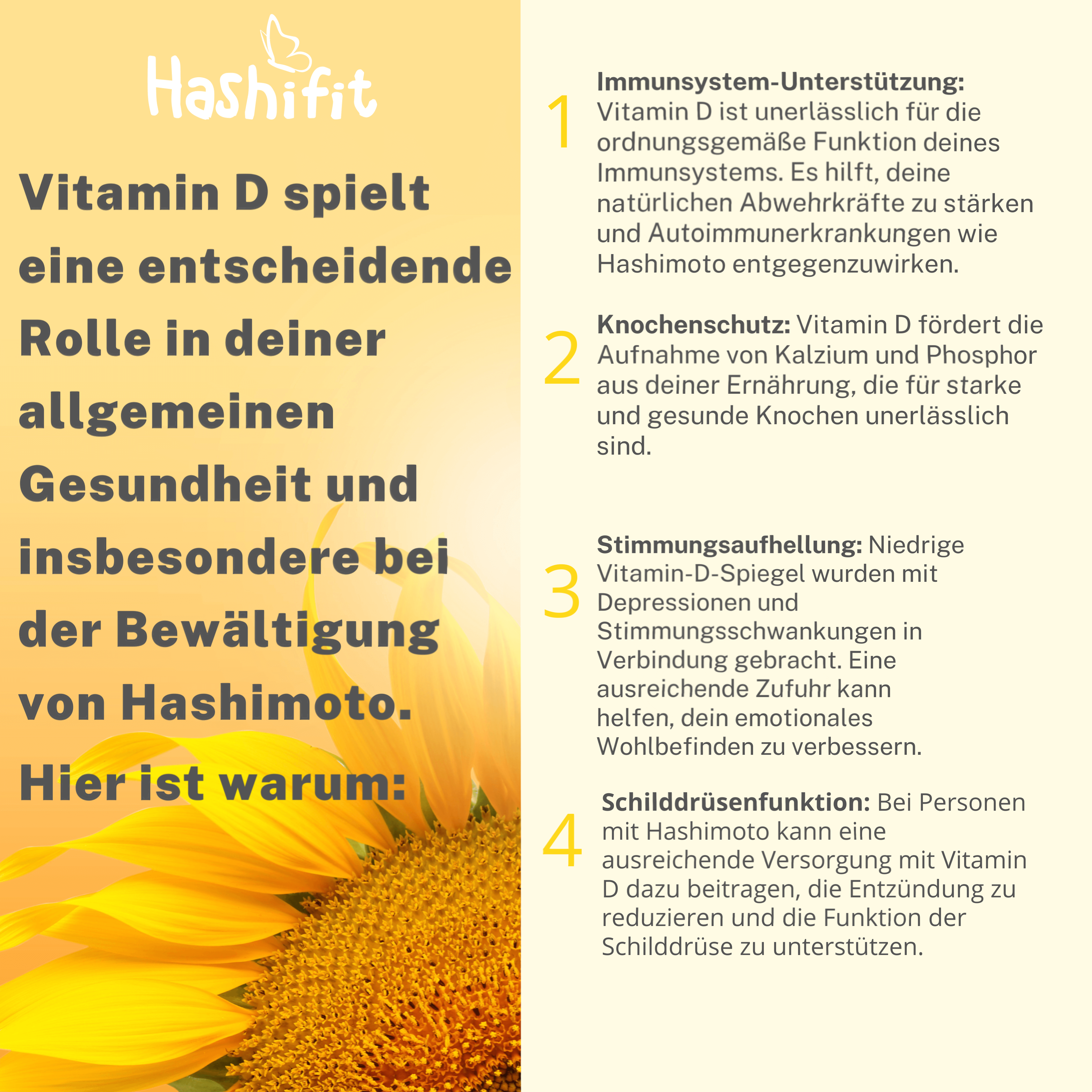 Informationstext zu Hashifit Vitamin D3 – Bedeutung von Sonnenvitamin und Mikronährstoffen bei Schilddrüsenunterfunktion