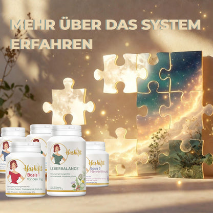 Hashifit System mit mehreren Produkten – ganzheitlicher Ansatz für Stoffwechsel, Stress und Energie bei Hashimoto
