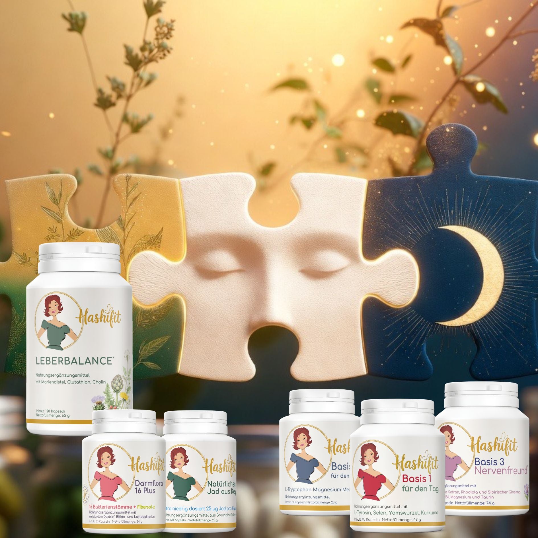 Hashifit Systemaufbau – Einstieg mit wenigen Produkten und später erweitern