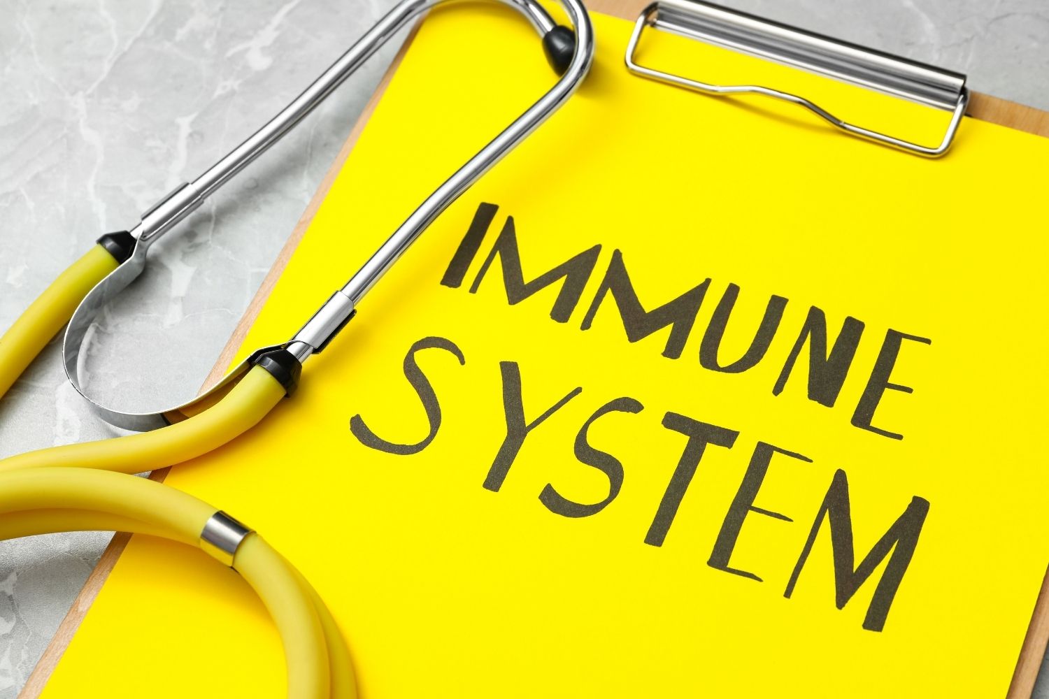 für das immunsiytem